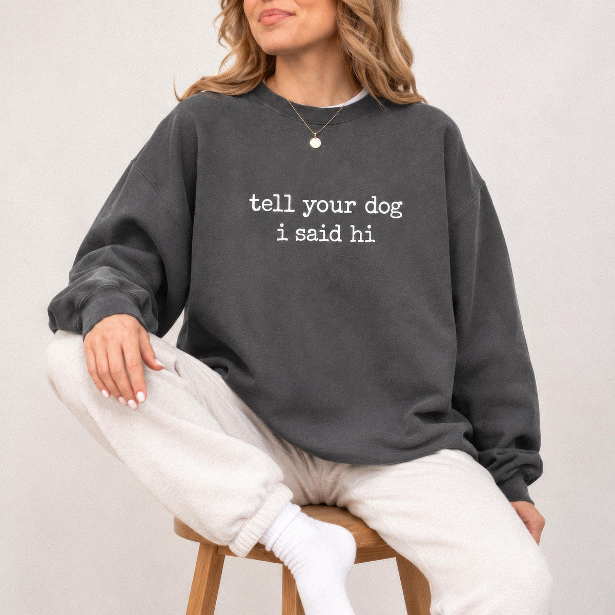 Tell Your Dog I Said Hi Sweatshirt, Comfort Colors Crewneck, Funny Dog Lover Gift