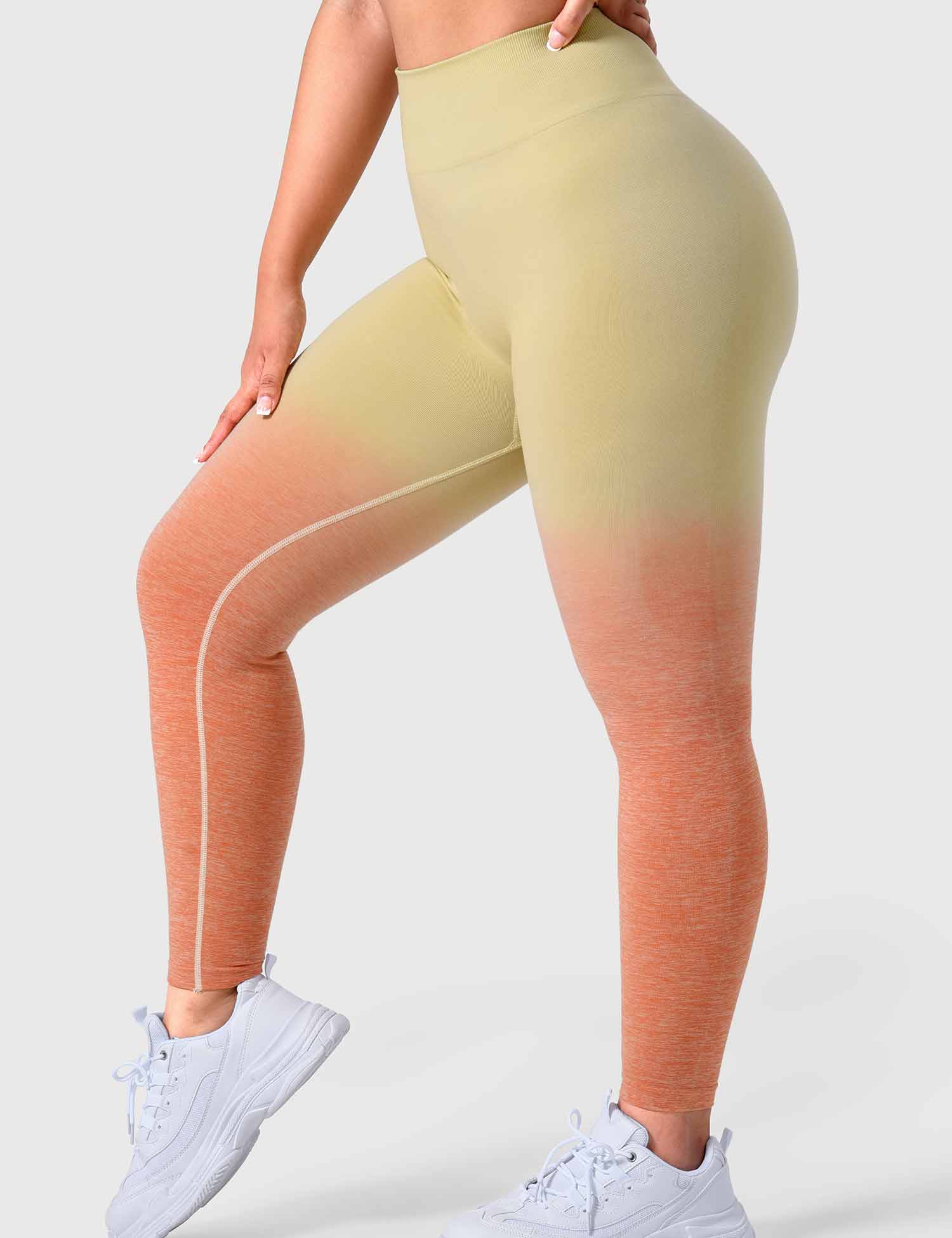 YGLEO Ombre Amplify Seamless Leggings
