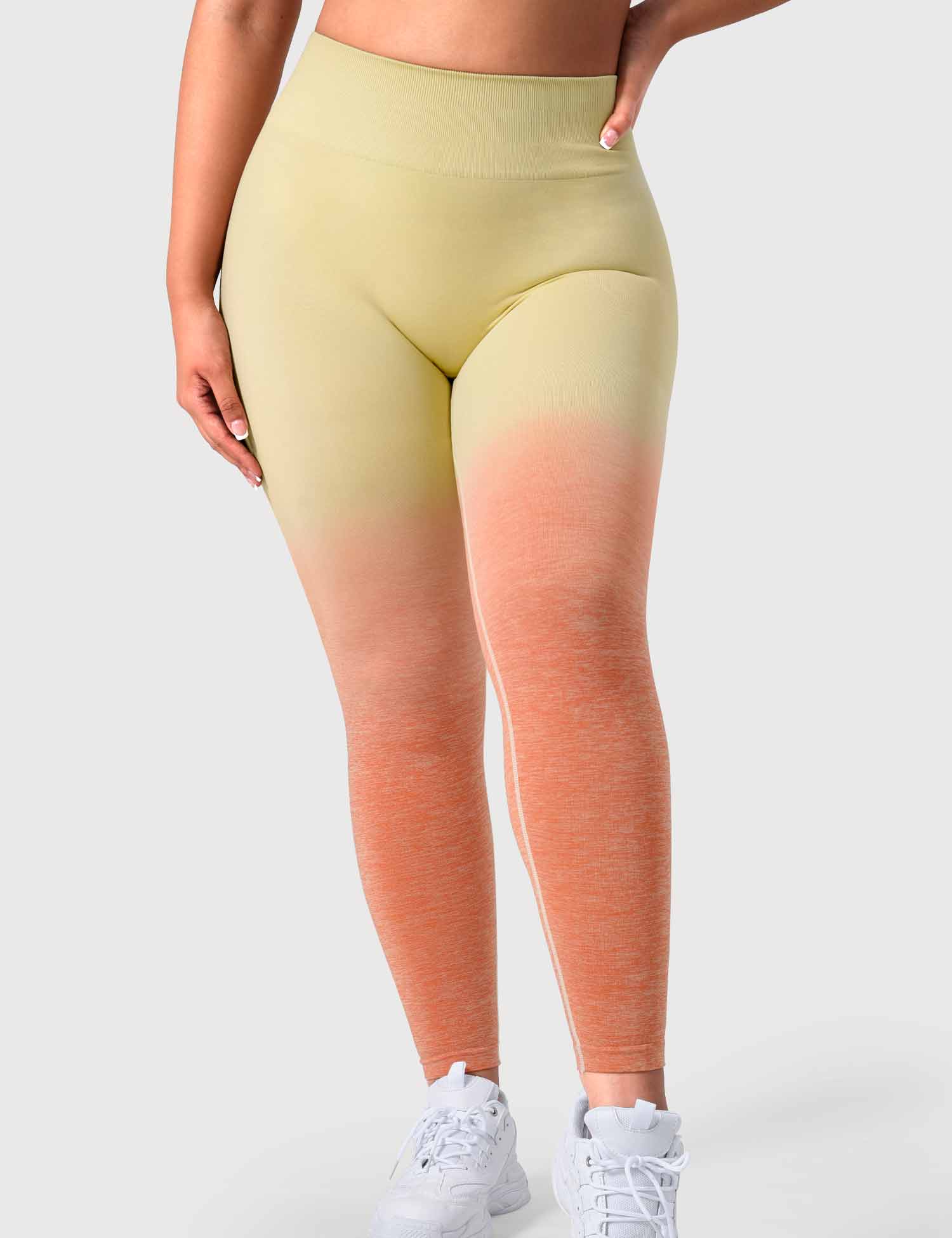 YGLEO Ombre Amplify Seamless Leggings
