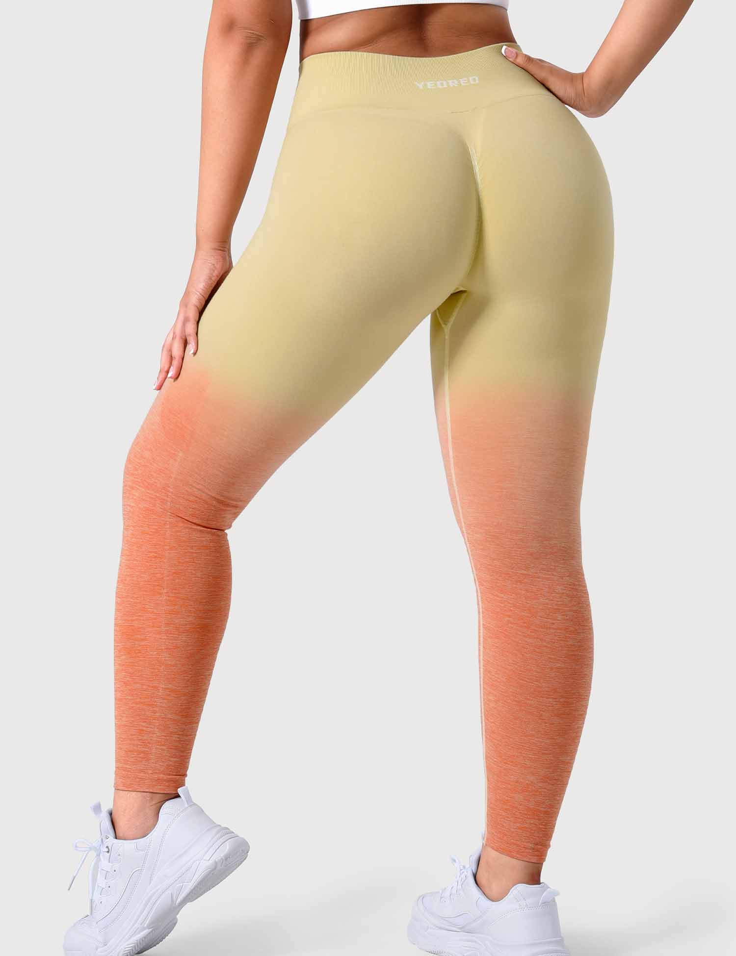 YGLEO Ombre Amplify Seamless Leggings