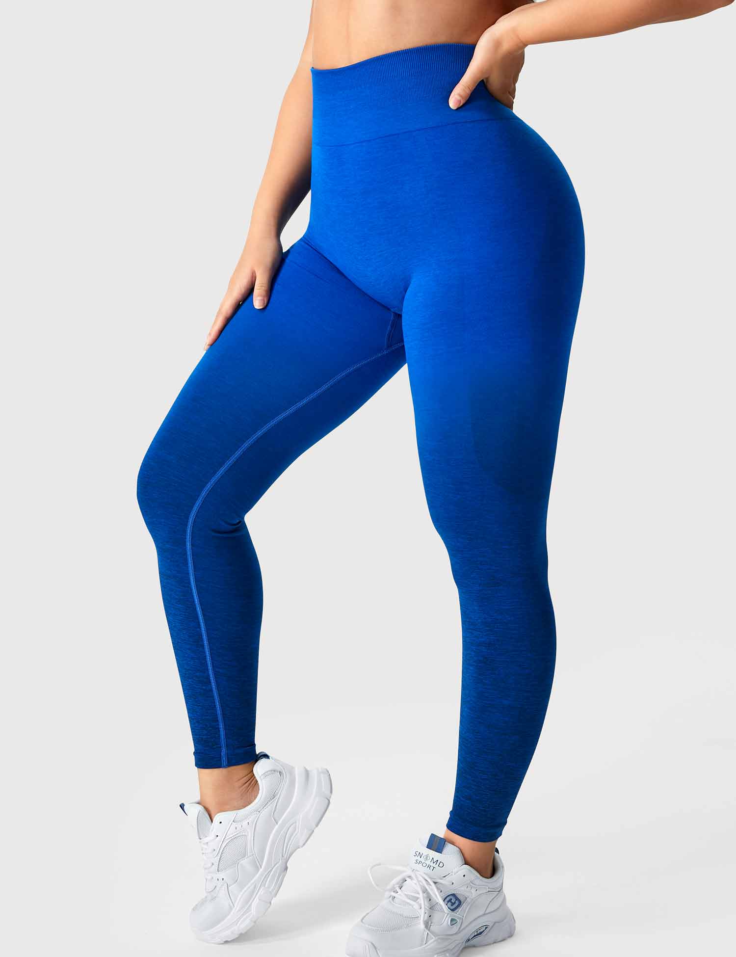 YGLEO Ombre Amplify Seamless Leggings
