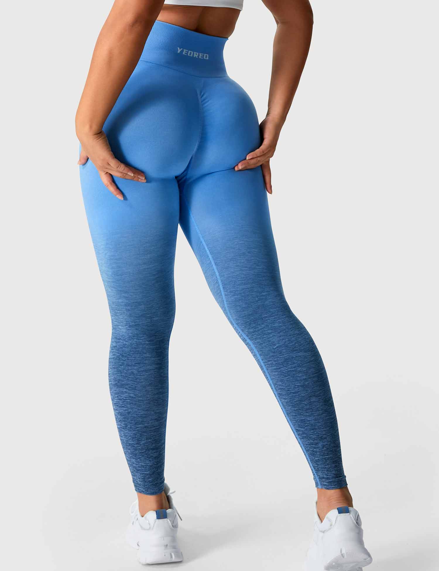 YGLEO Ombre Amplify Seamless Leggings