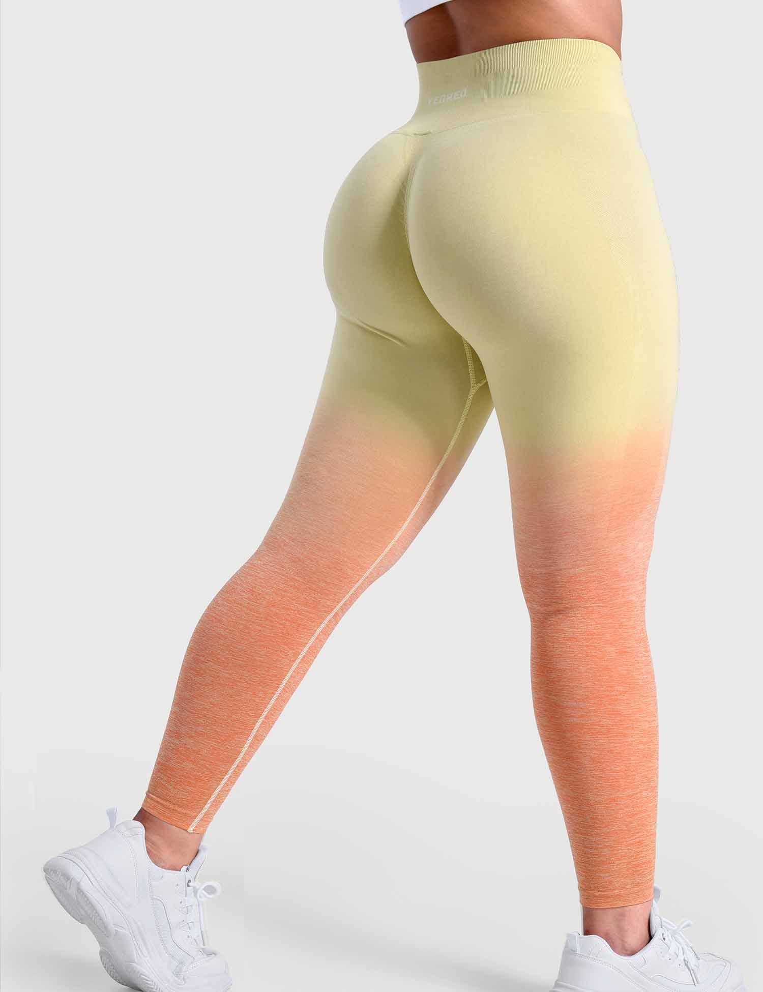 YGLEO Ombre Amplify Seamless Leggings